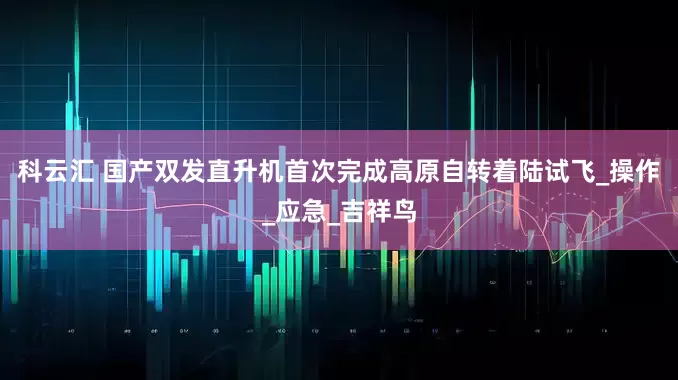 科云汇 国产双发直升机首次完成高原自转着陆试飞_操作_应急_吉祥鸟